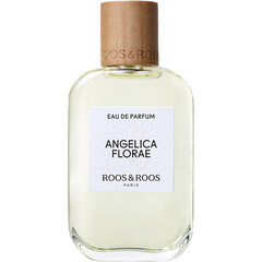 Angelica Florae by Roos & Roos / Dear Rose