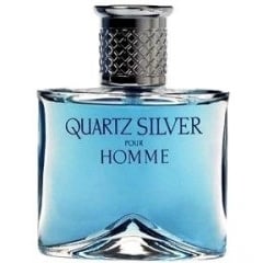 Quartz Silver pour Homme by Molyneux