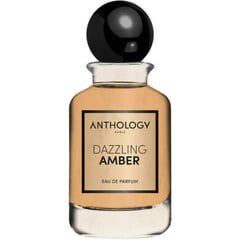 Dazzling Amber by Anthology