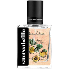 Apricot Tree (Perfume Oil) by Sucreabeille