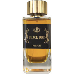 Black Dog by Enrico Buccella