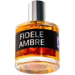 Fidele Ambre by Dame Perfumery Scottsdale