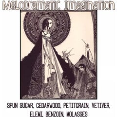 Melodramatic Imagination by Lurker & Strange