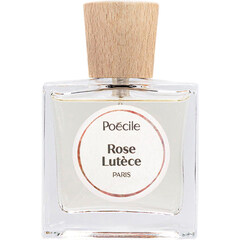 Rose Lutèce by Poécile