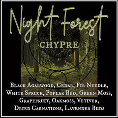 Night Forest von Lurker & Strange