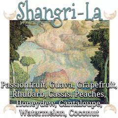Shangri-La by Lurker & Strange