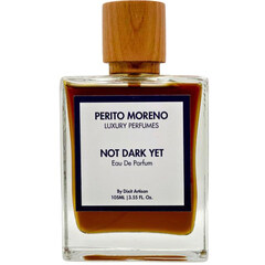 Not Dark Yet von Perito Moreno