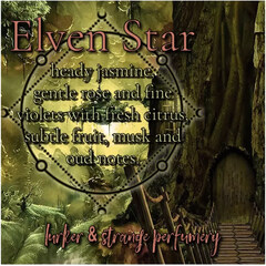 Elven Star by Lurker & Strange