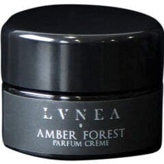 Amber Forest (2024) von Lvnea