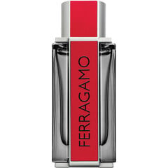 Ferragamo Red Leather by Salvatore Ferragamo