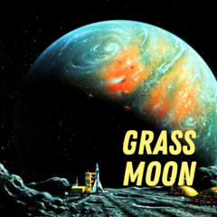 Grass Moon by Pulp Fragrance