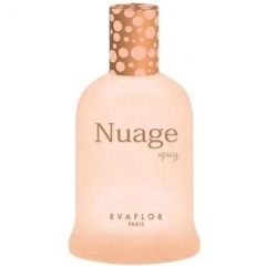 Nuage spicy by Evaflor
