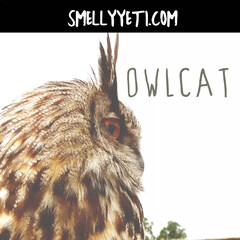 Owlcat by Smelly Yeti