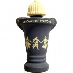 Wedgwood by Dorothy Gray