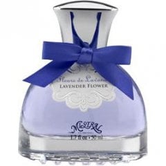 Fleurs de Lavande / Lavender Flower by Mistral