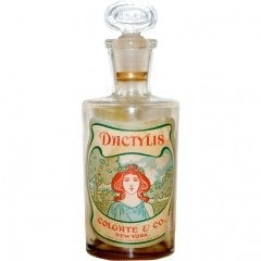 Dactylis by Colgate & Company