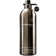Steam Aoud by Montale