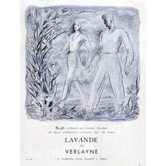 Lavande by Verlayne