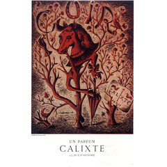 Cuir by Calixte