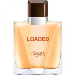 Loaded by Sapil