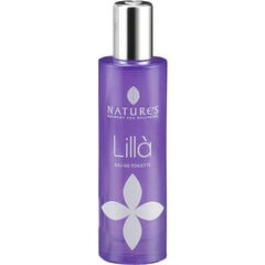 Lillà by Nature's