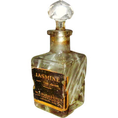 Jasmine by W. J. Bush Co.