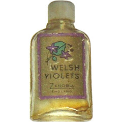 Welsh Violets von Zenobia