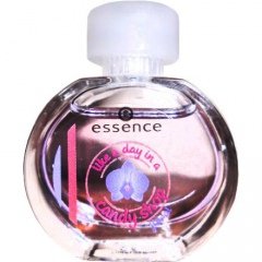 Like a Day in a Candy Shop - Floral von essence