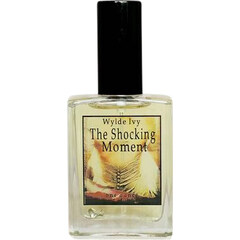 The Shocking Moment (Perfume) by Wylde Ivy