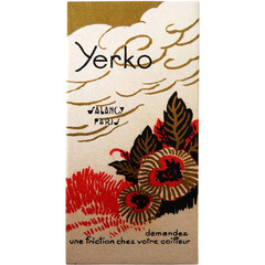 Yerko by Salancy