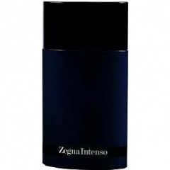 Zegna Intenso Limited Edition von Ermenegildo Zegna