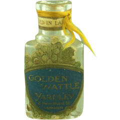 Golden Wattle by Yardley