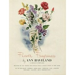 Lilac by Ann Haviland