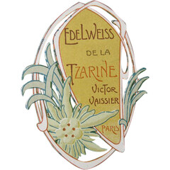 Edelweiss de la Tzarine by Victor Vaissier