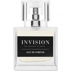 Invision - The Fountain of Youth by Invision