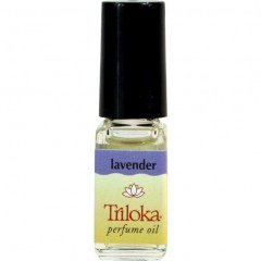 Lavender by Triloka