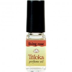 Living Rose von Triloka