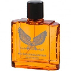 Big Eagle Collection - Orange by Real Time