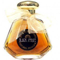 Black Spruce (Eau de Parfum) by Teone Reinthal Natural Perfume