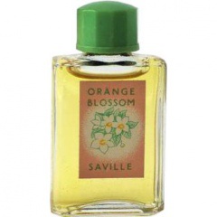 Orange Blossom von Saville