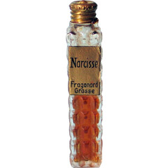 Narcisse von Fragonard