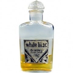 White Lilac by Bradley Perfumer