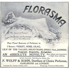 Florasma - Violet by F. Wolff & Sohn