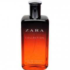 Zara Winter Collection