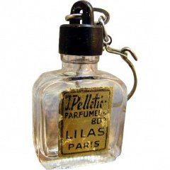 Lilas by J.Pelletier