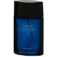 Night Canyon by Real Time