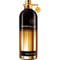 Spicy Aoud / Aoud Spicy Musk by Montale