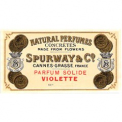 Parfum Solide Violette von Marcus Spurway