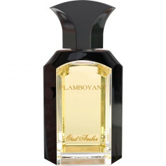Oud Amber by Flamboyant