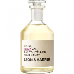 Hello, I Love You, Can You Tell Me Your Name? by Leon & Harper